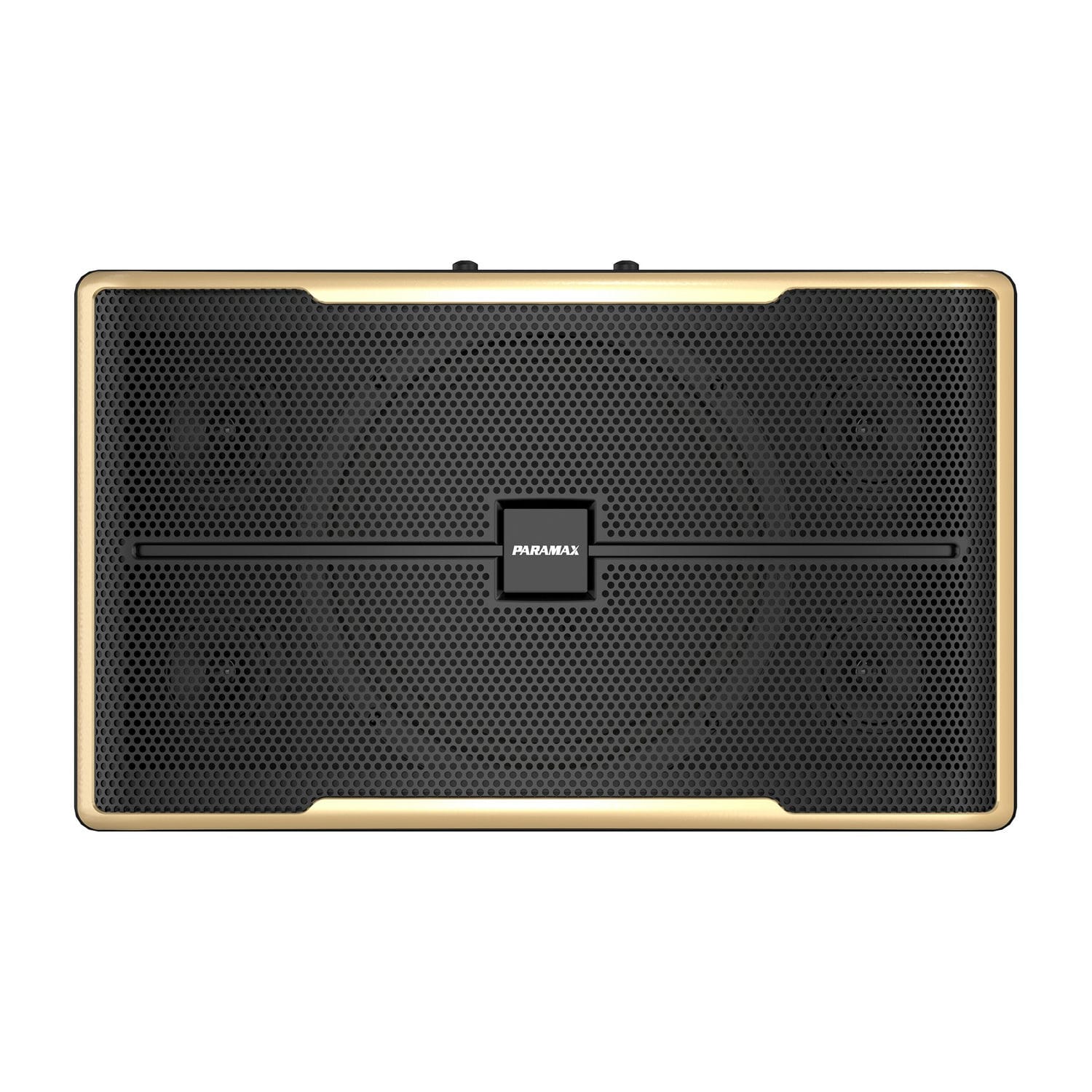 Ảnh sản phẩm Loa Karaoke Paramax Z2500 2