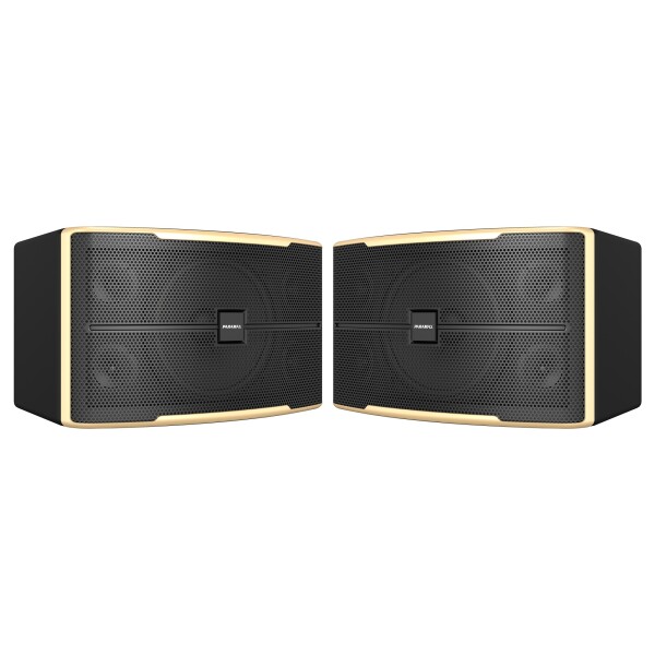 Ảnh sản phẩm Loa Karaoke Paramax Z2500 1