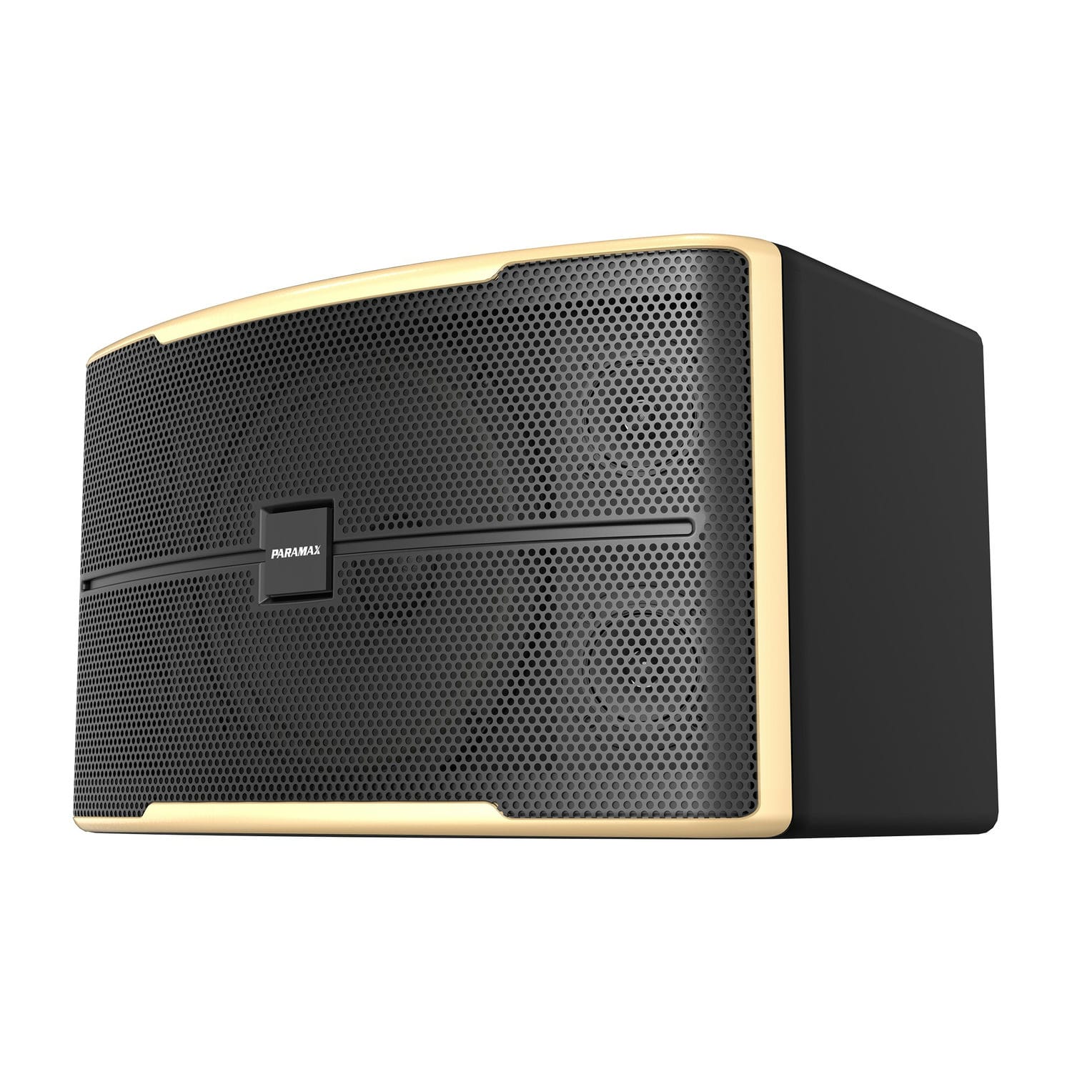 Ảnh sản phẩm Loa Karaoke Paramax Z2500 4