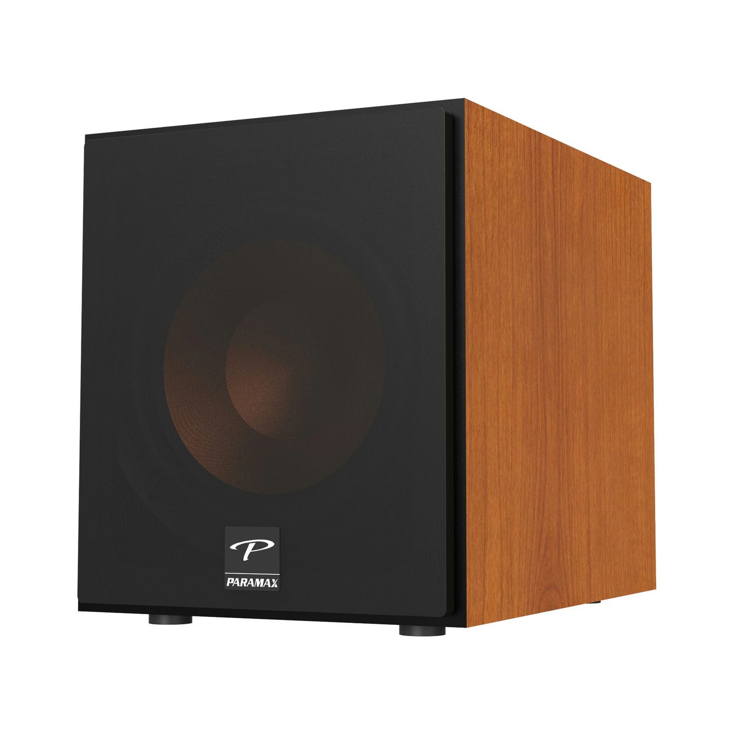 Ảnh sản phẩm Loa sub Paramax Sub-E30 (bass 30cm) 6