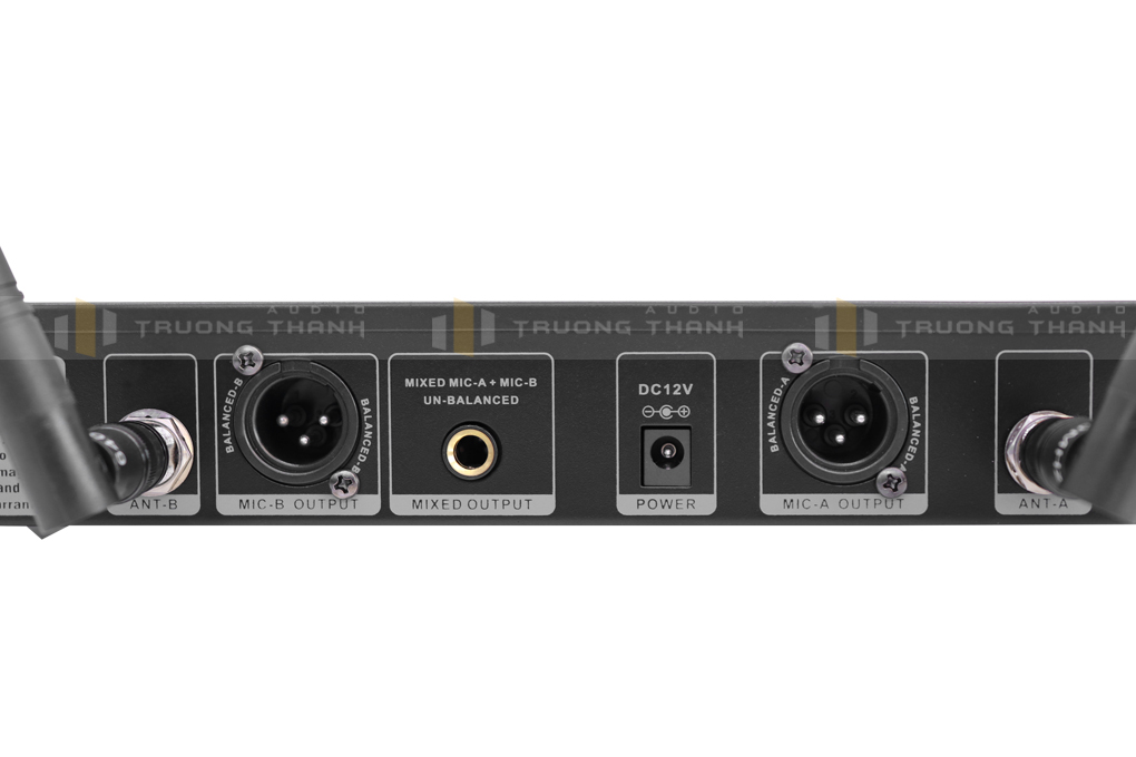 Ảnh sản phẩm Micro AAP K800II 18
