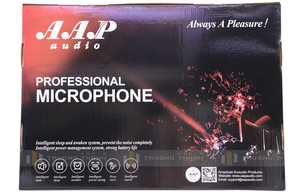 Ảnh sản phẩm Micro AAP K800II 22