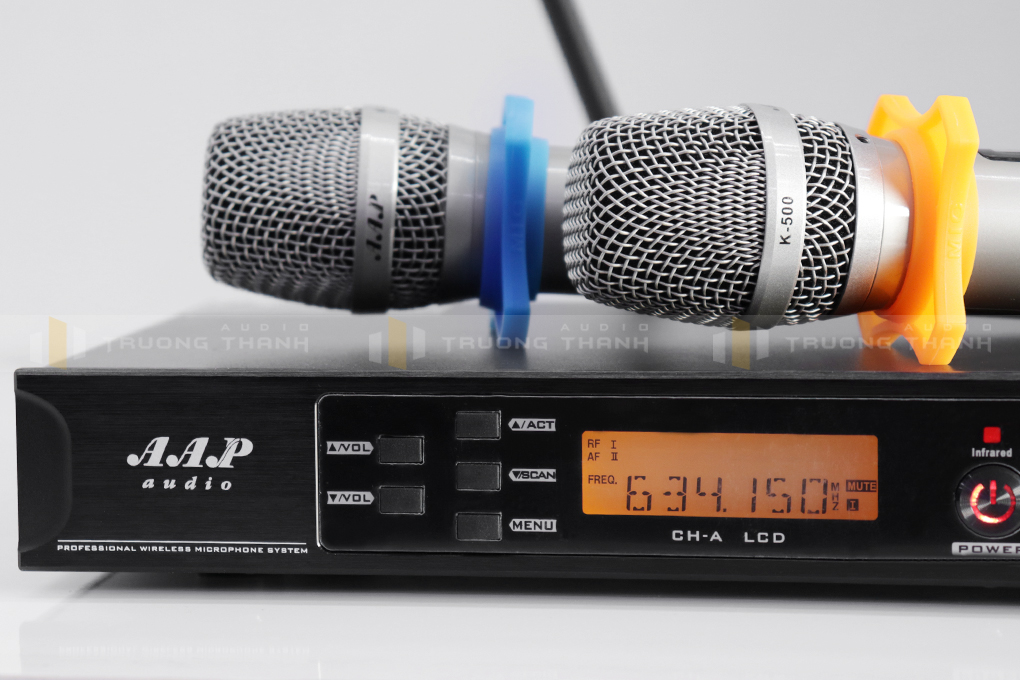 Micro AAP K500