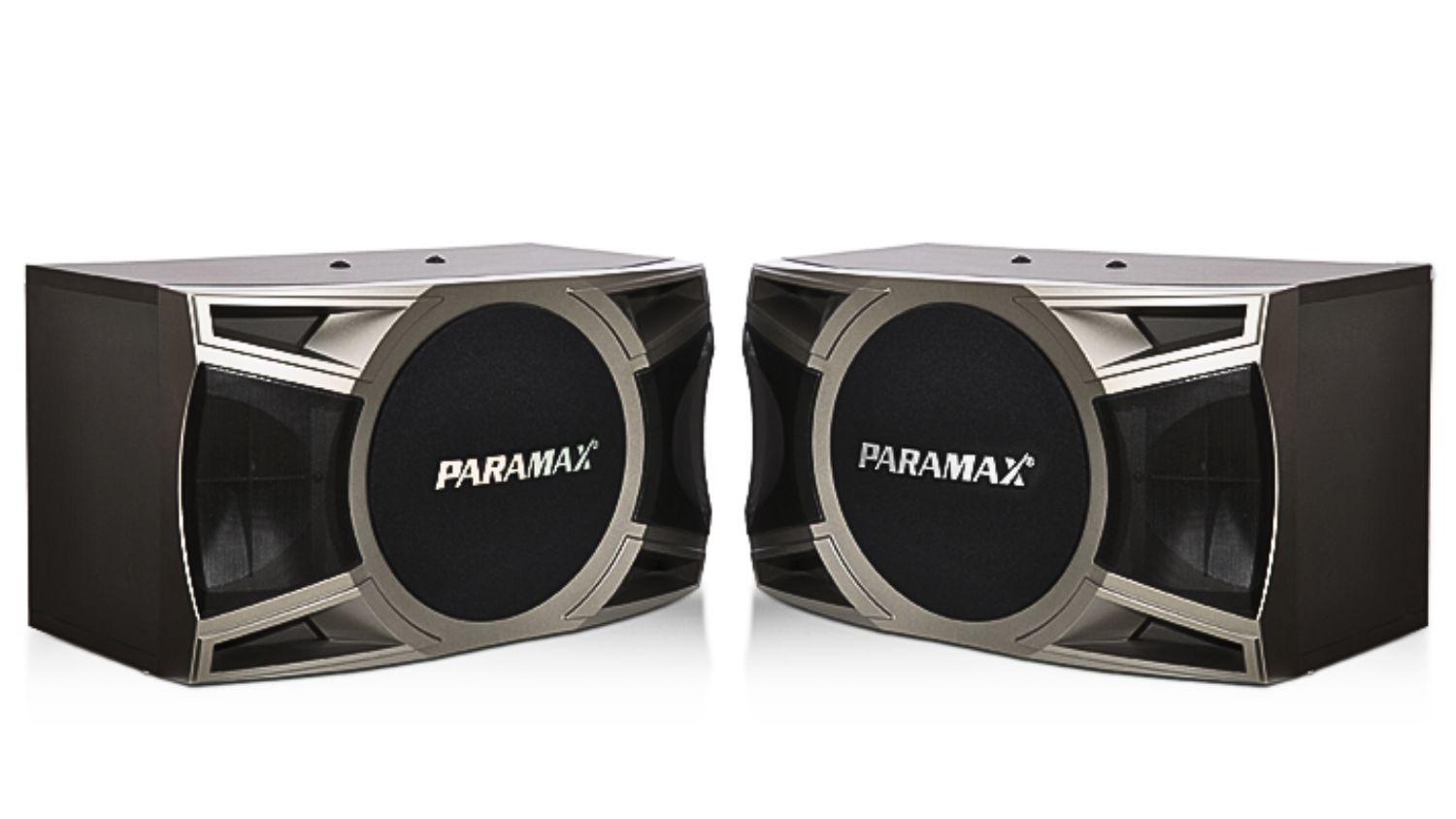 Ảnh sản phẩm Loa karaoke Paramax D-1000 1
