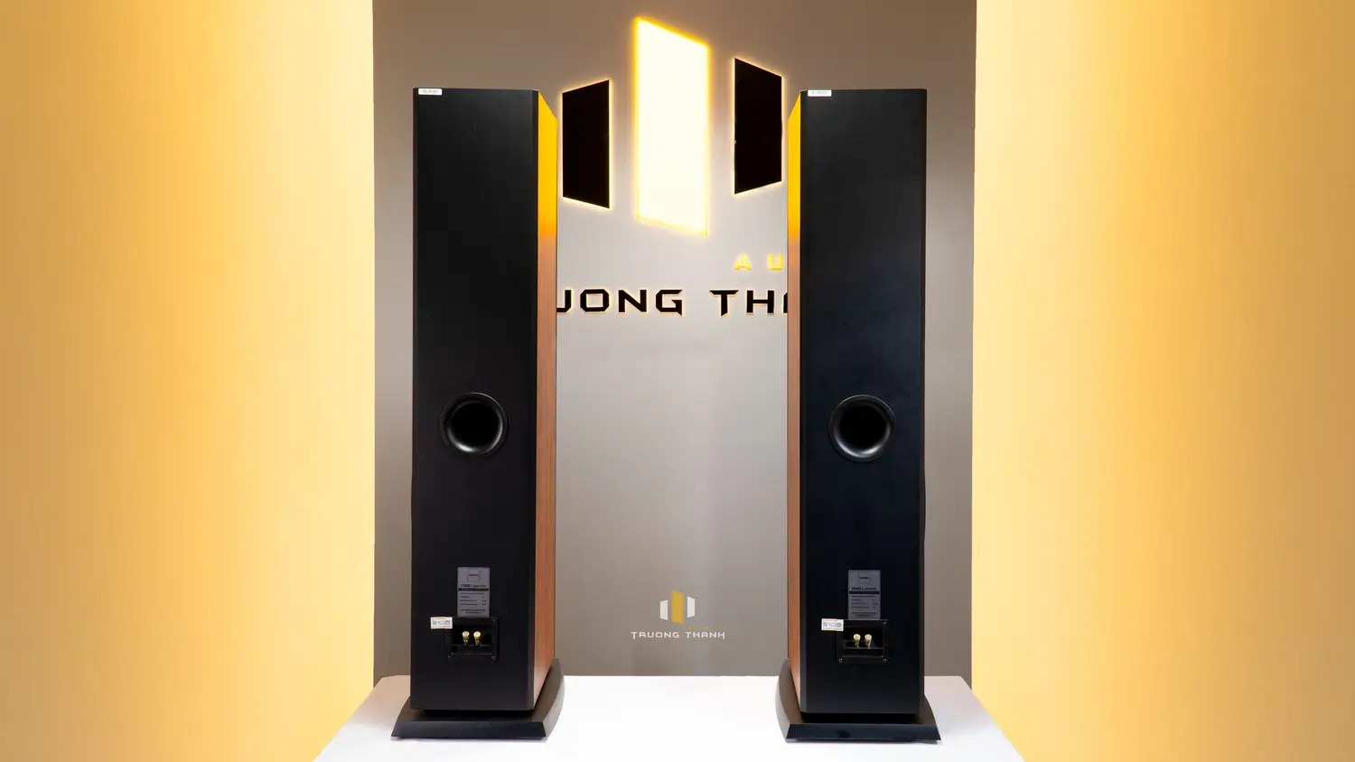Mặt sau của Loa Paramax D88 Limited