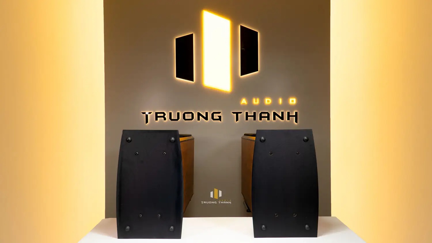 Phần đế của Loa Paramax D88 Limited