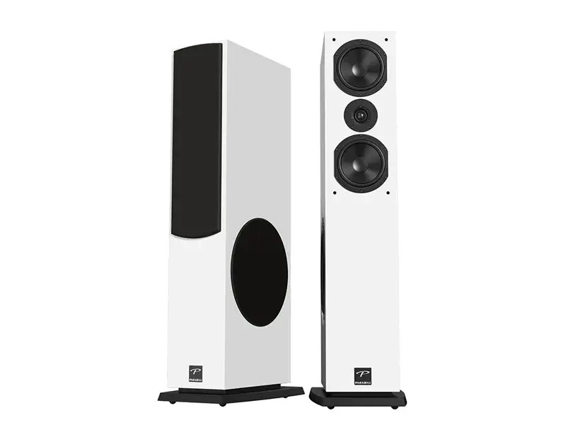 Ảnh sản phẩm Loa Paramax D88 Luxury 5