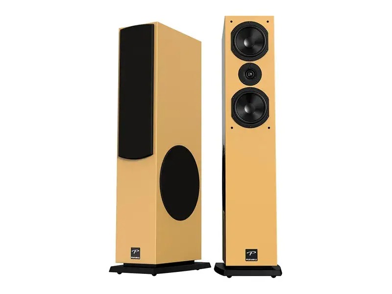 Ảnh sản phẩm Loa Paramax D88 Luxury 3