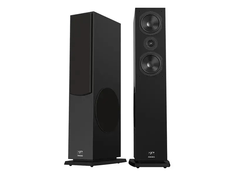 Ảnh sản phẩm Loa Paramax D88 Luxury 1