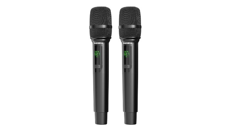 Micro không dây Loa Paramax Euro 801 Smart