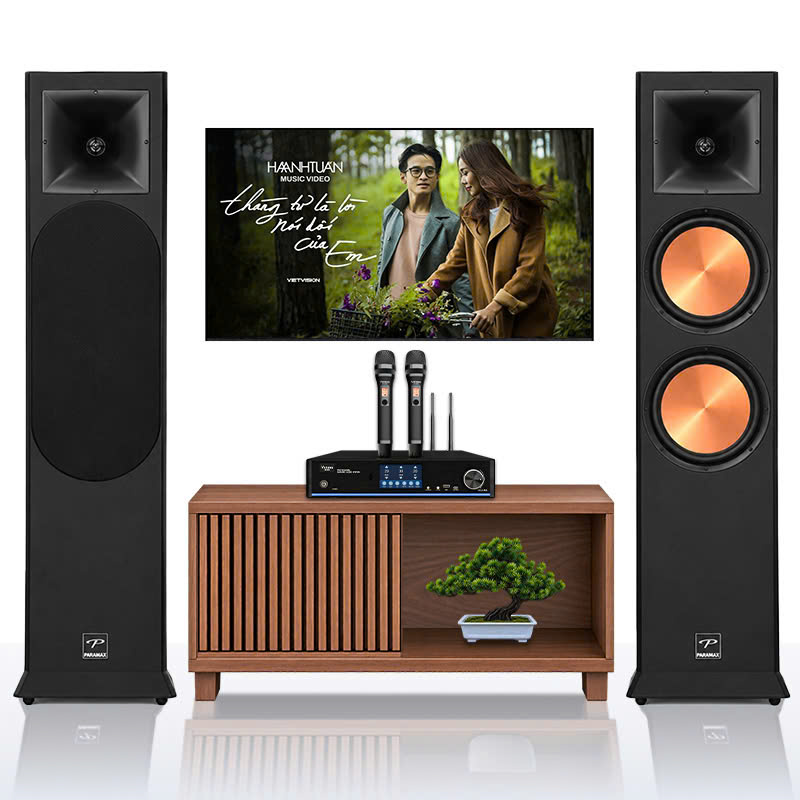 Dàn Karaoke Paramax TT258: ( Paramax Euro8Limited, Vatasa HC600 )