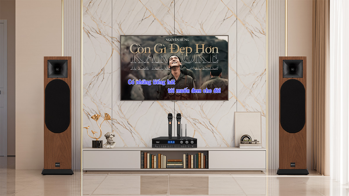 Dàn karaoke Paramax TT268: (Paramax EURO 8 Classic, Vatasa Bla600 New) hình 3d