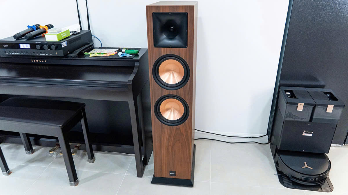 Loa Paramax Euro 8 Classic trong Dàn karaoke Paramax TT268: (Paramax EURO 8 Classic, Vatasa Bla600 New)
