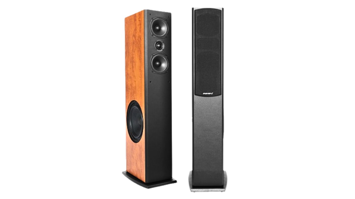 Mặt trước của Loa Paramax F2800