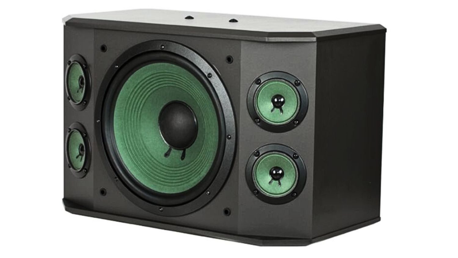 Mặt trong của Loa Paramax K 2000 bass 30