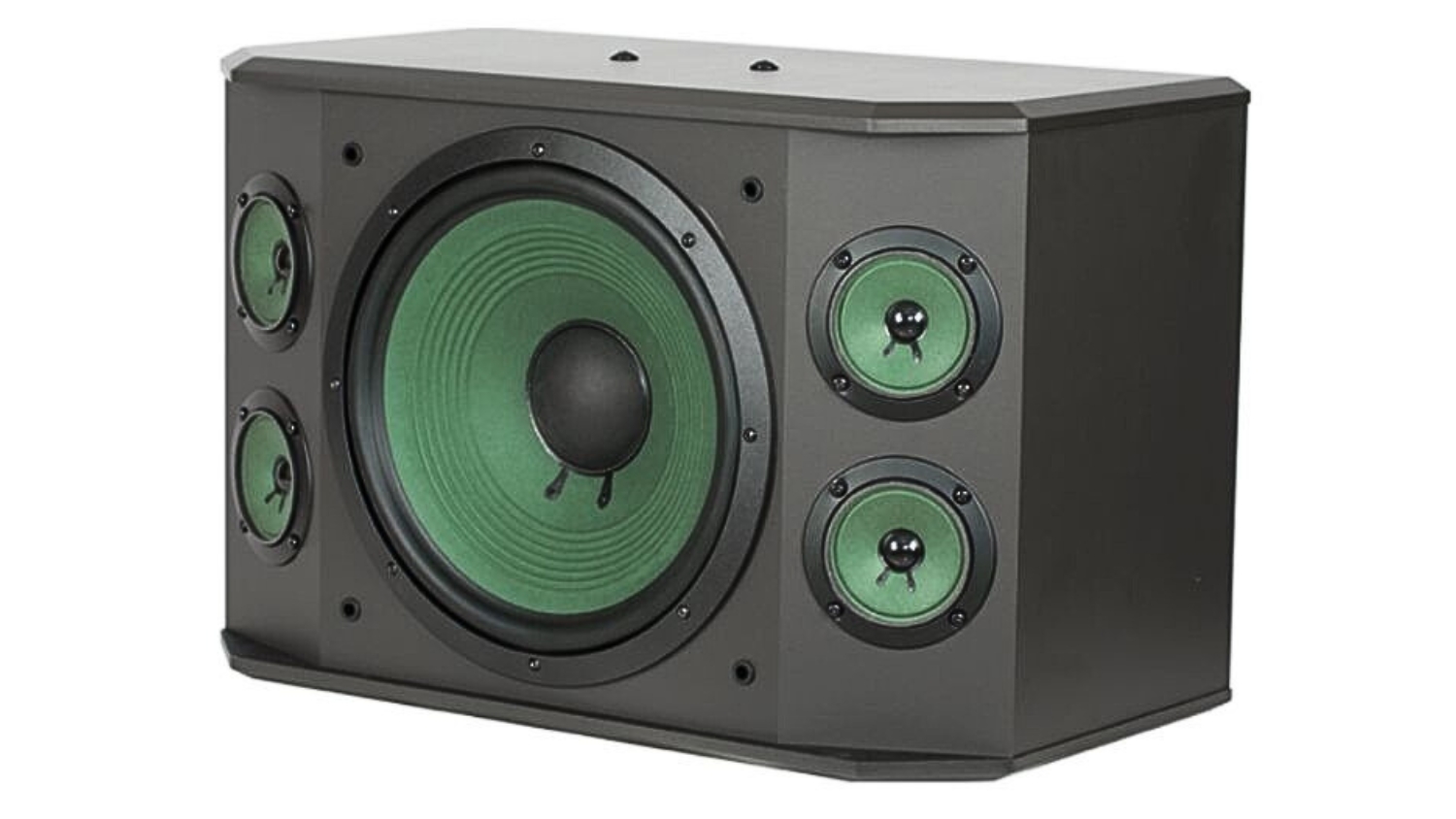 Mặt trong của Loa Karaoke Paramax K2000