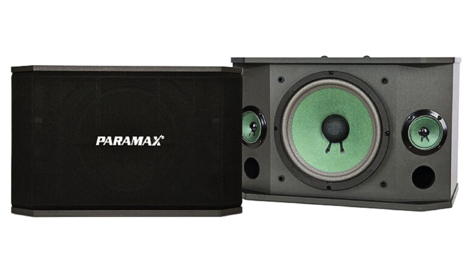Mặt trước và mặt trong của Loa karaoke Paramax K850