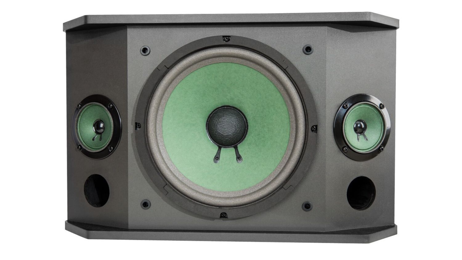 Mặt trong của Loa karaoke Paramax K850