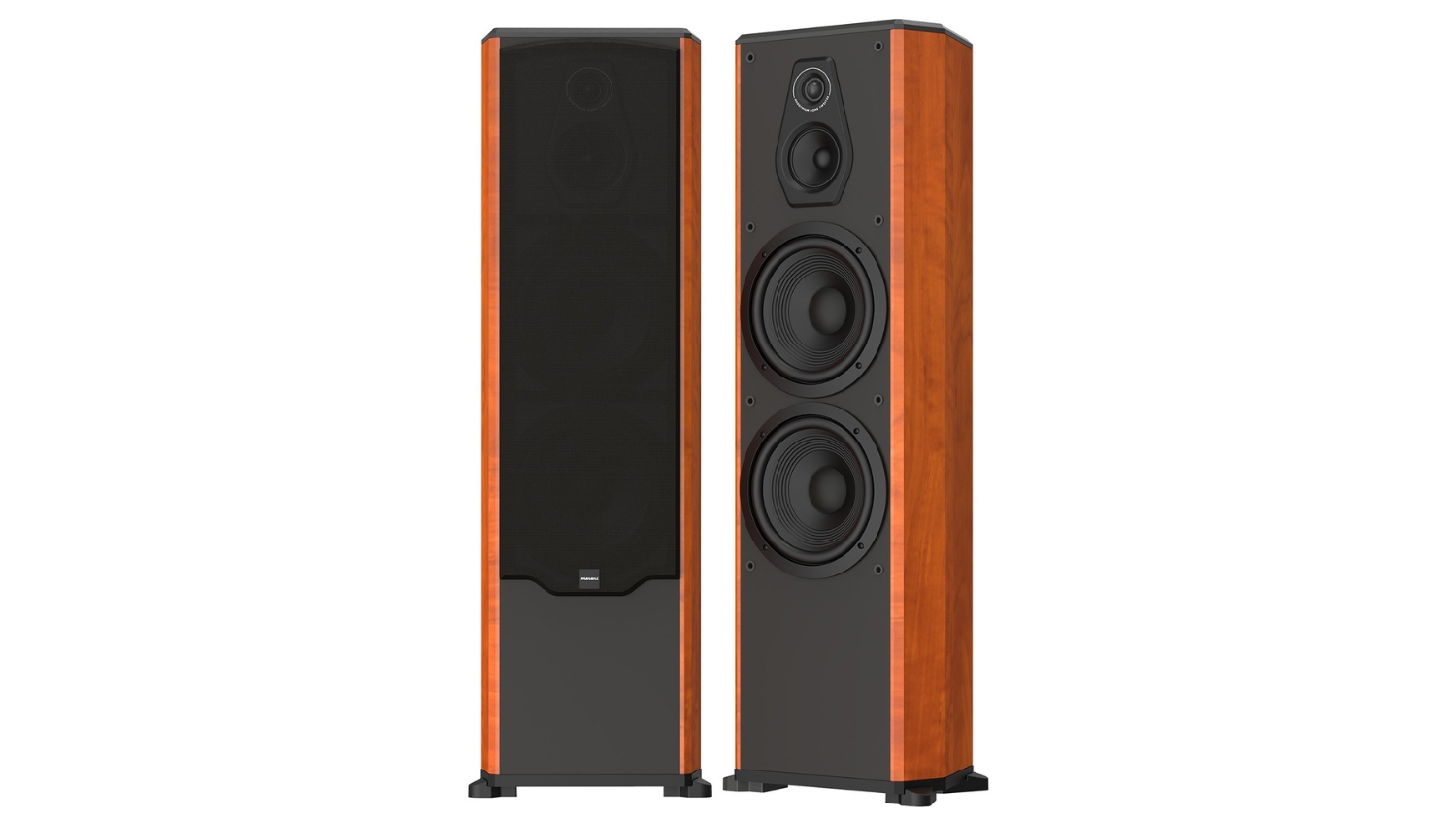 Đôi Loa Paramax MK-D2000