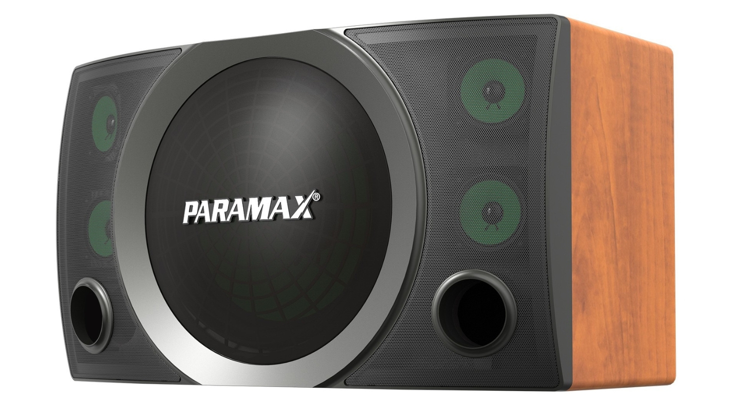 Mặt bên của Loa Paramax MK-S2000