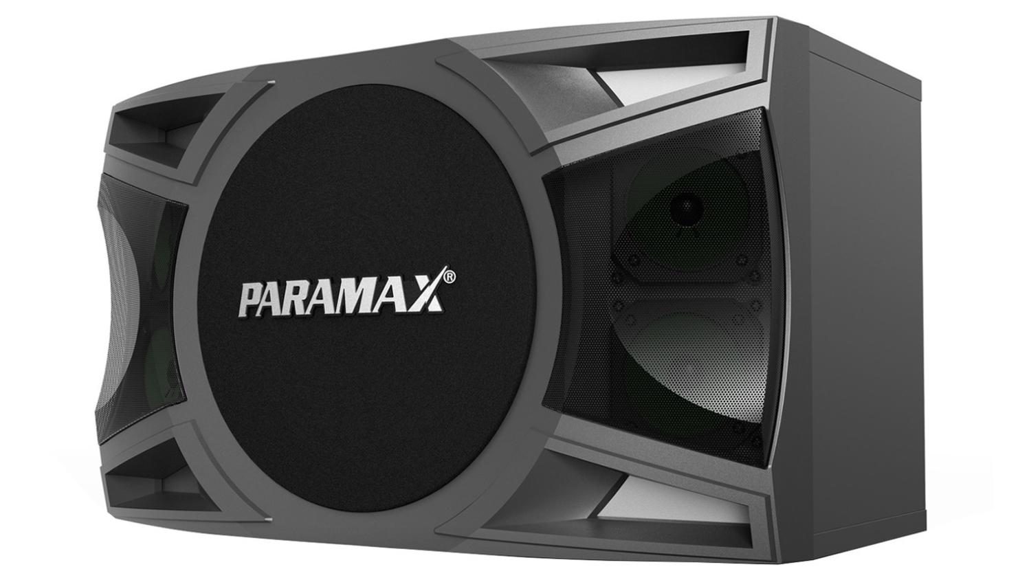 Mặt bên của Loa Paramax MK S1000
