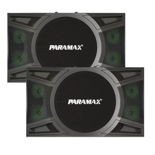 Loa karaoke Paramax P2000