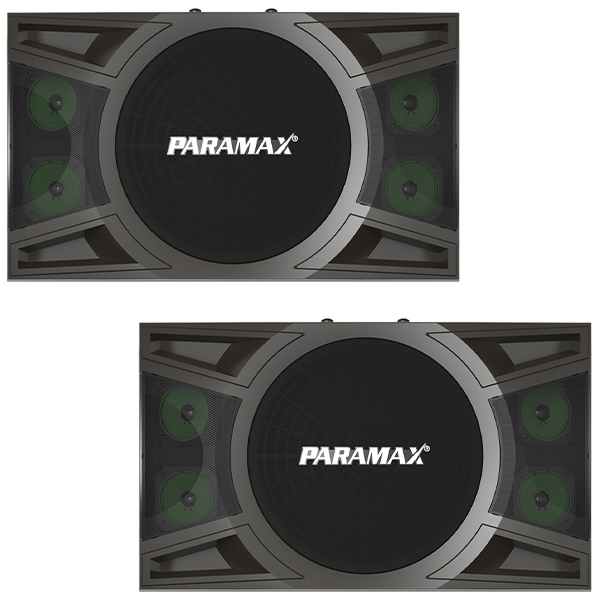Loa karaoke Paramax P1000 new (bass 25cm, 5 loa 3 đường)