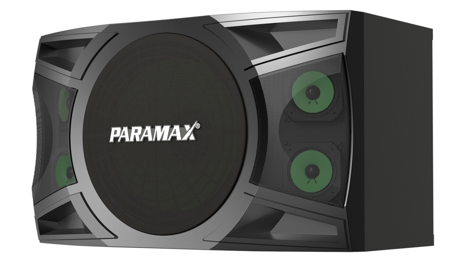 Mặt bên phải của Loa karaoke Paramax P1000