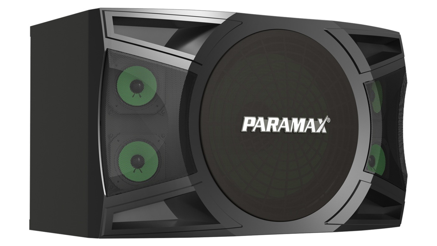 Mặt bên trái của Loa karaoke Paramax P1000