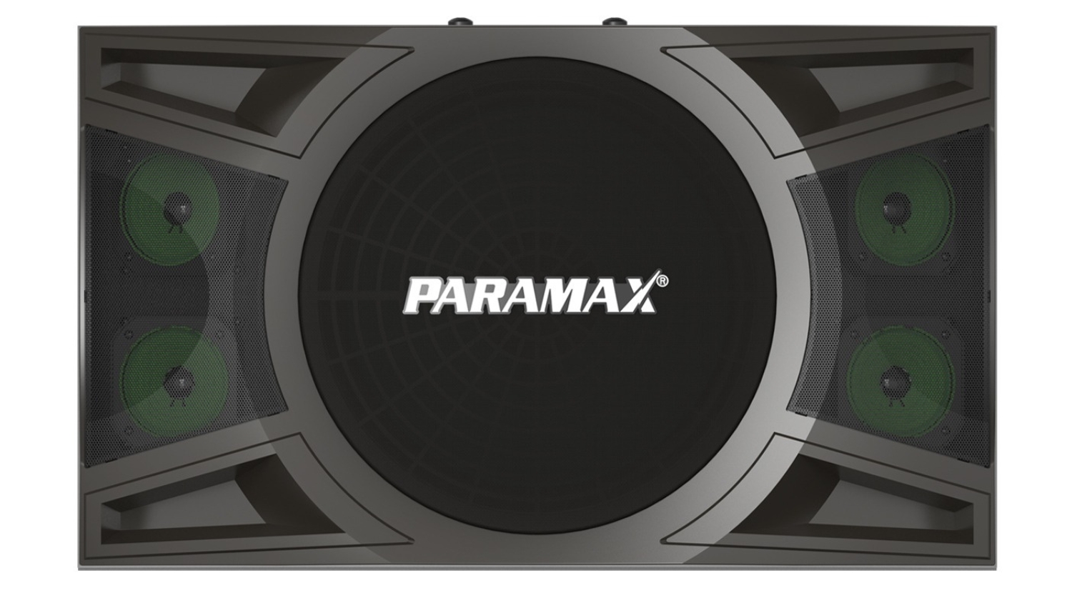 Mặt trước của Loa karaoke Paramax P1000