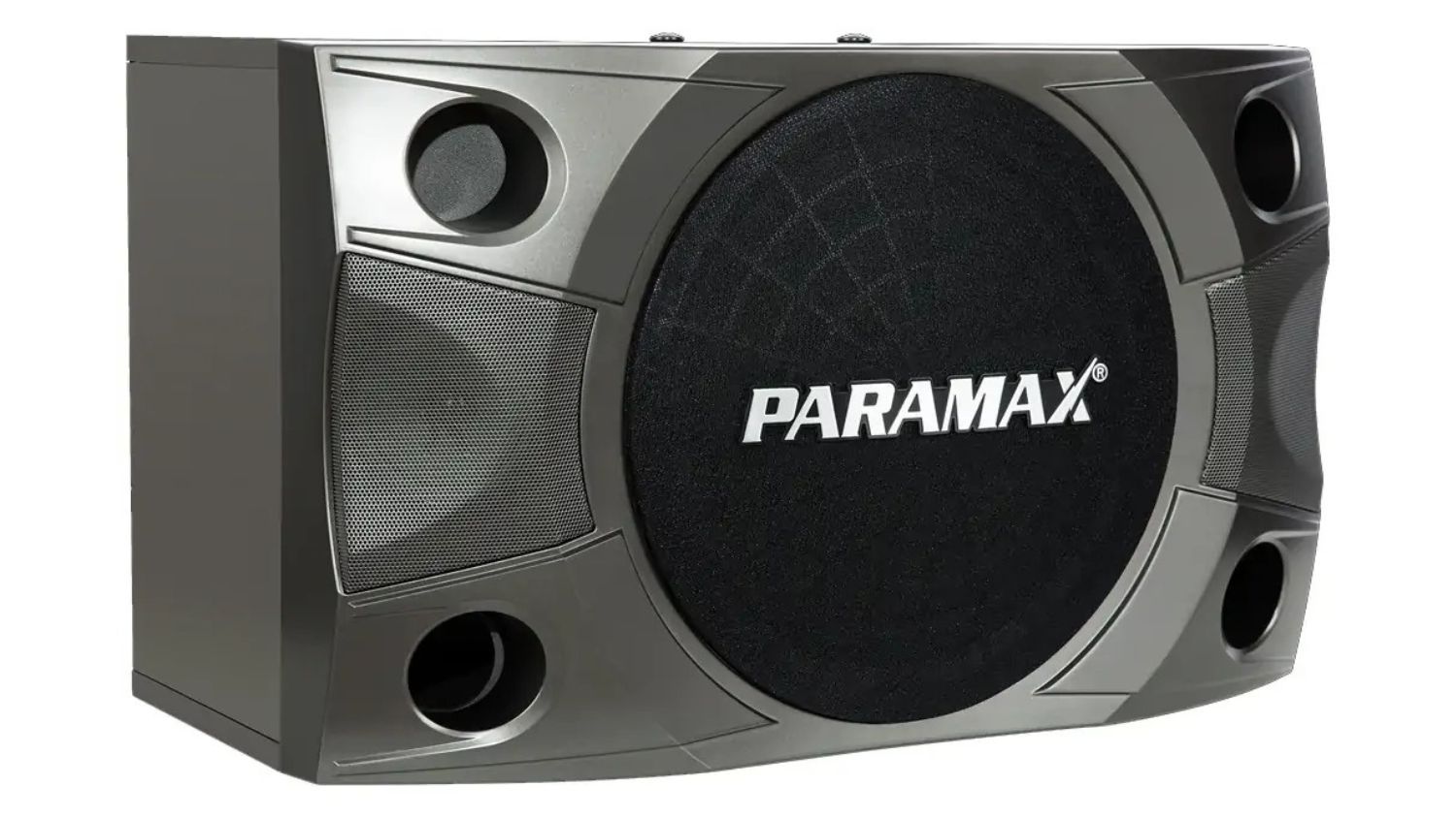 Mặt bên trái của Loa Paramax P850
