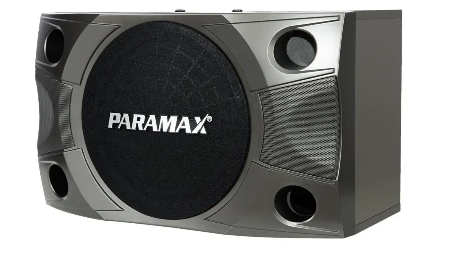 Mặt bên phải của Loa Paramax P850