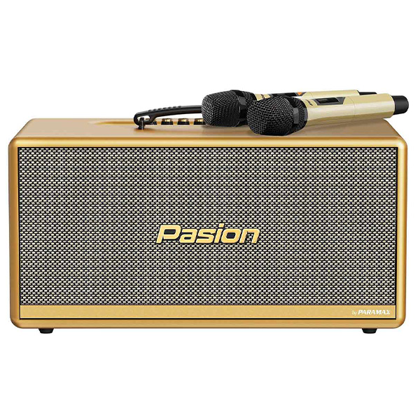 Loa Di Động Xách Tay Paramax PASION 2c