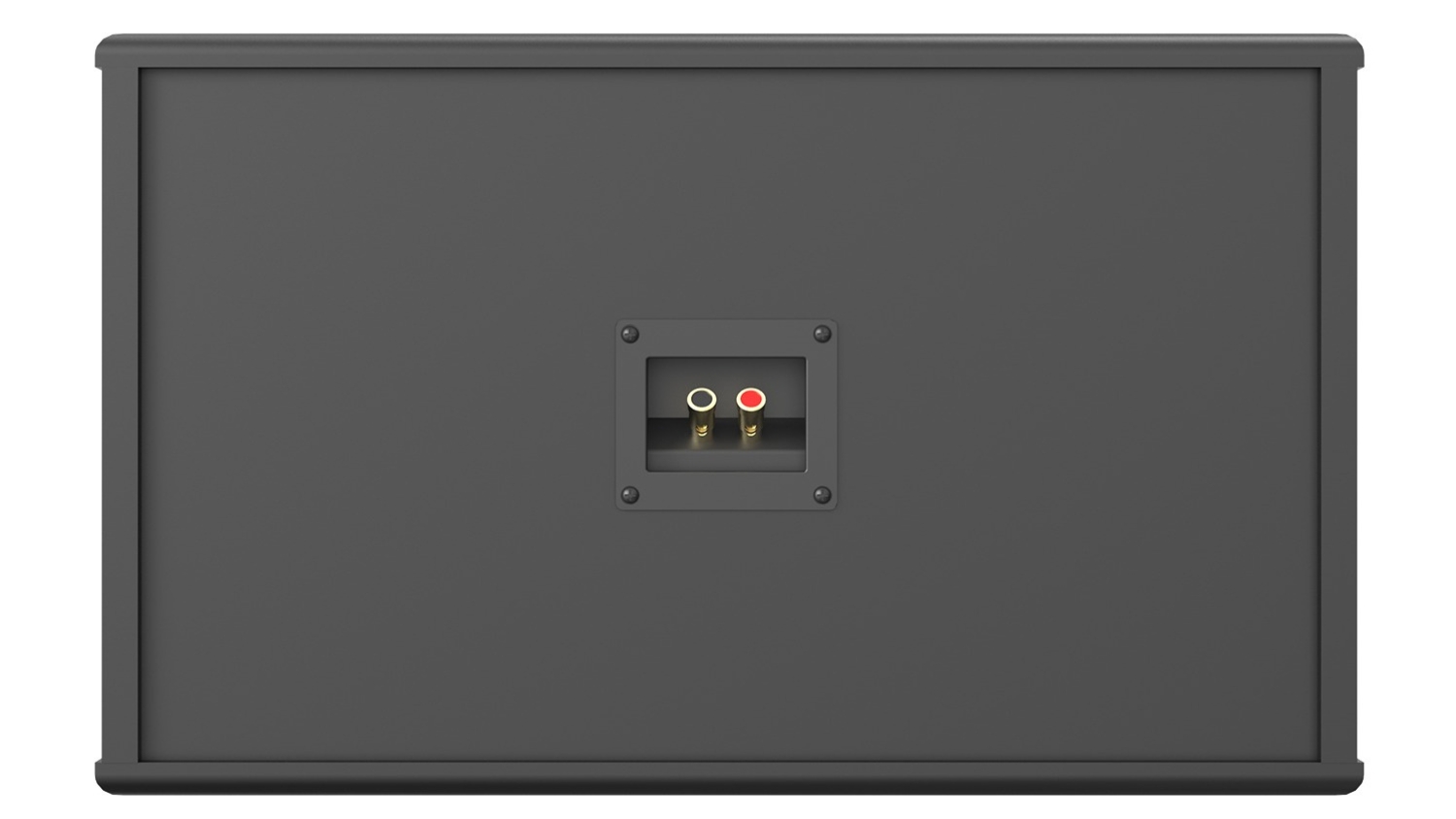 Mặt sau của Loa Paramax PRO C10