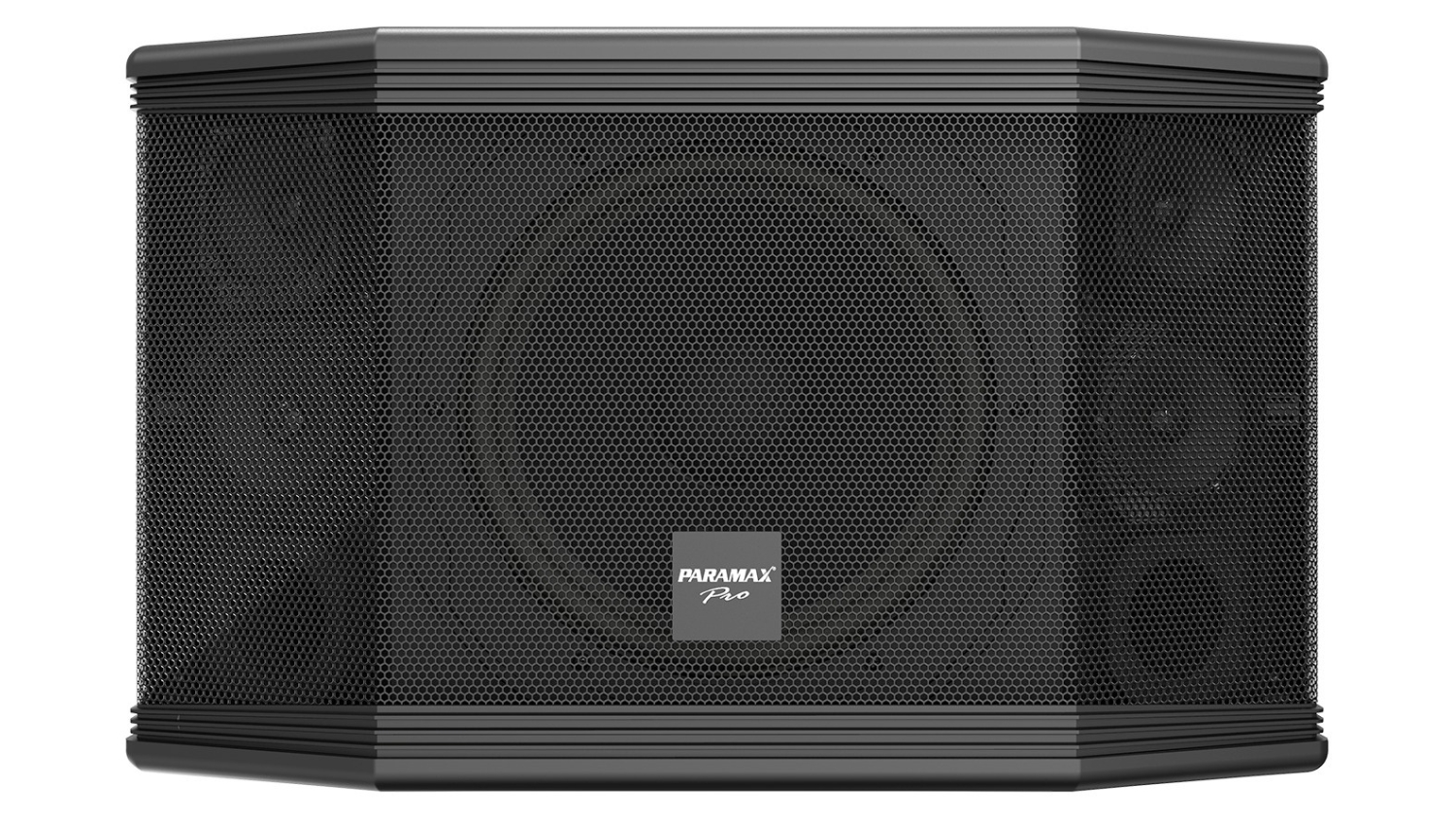 Mặt trước của Loa Paramax PRO C10