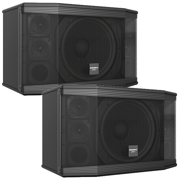 Loa Paramax PRO C12 (Hàng Chính Hãng Likenew)