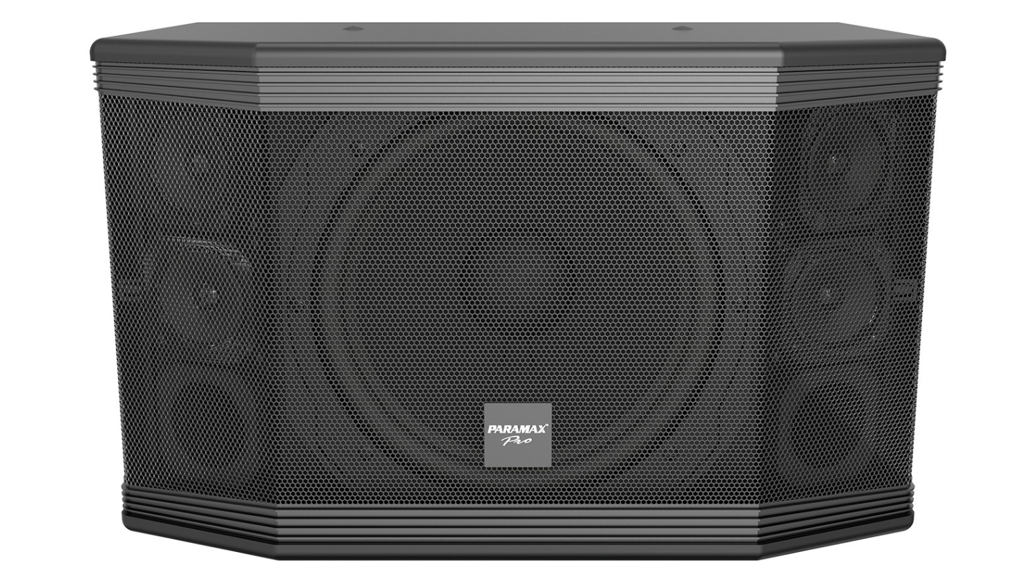 Mặt trước của Loa Paramax PRO C12