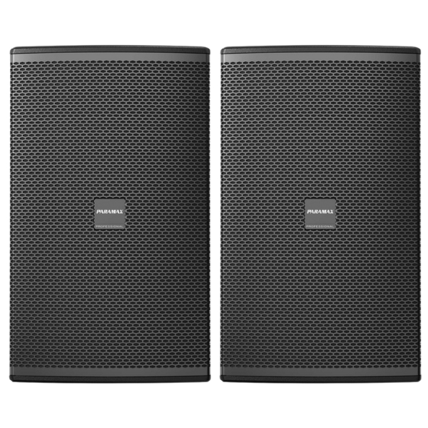 Loa Karaoke Paramax PRO V40