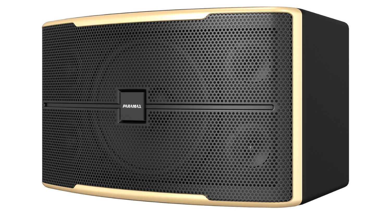 Mặt nghiêng của Loa Karaoke Paramax Z2500