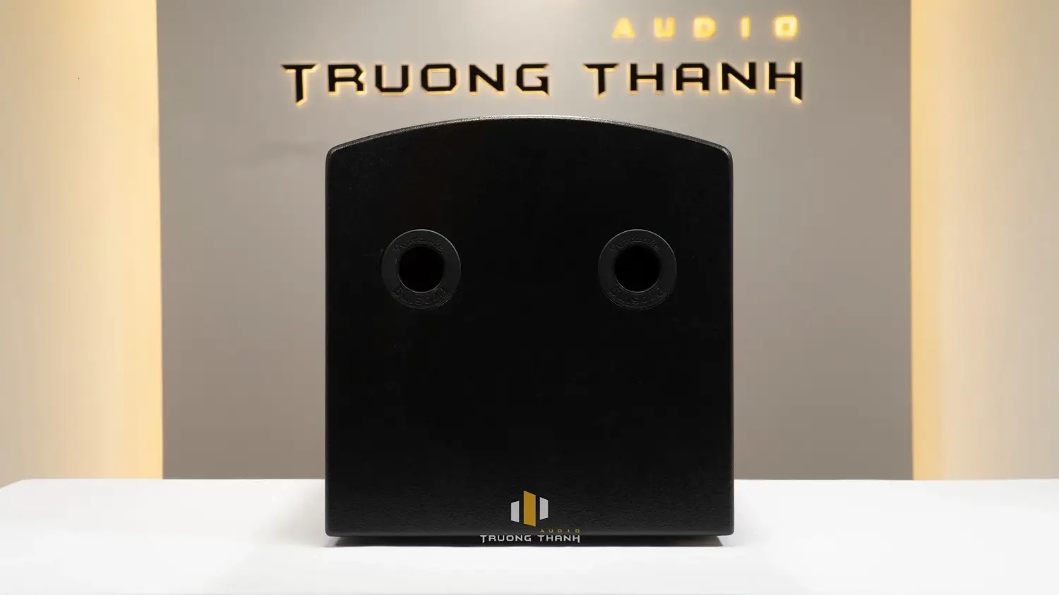 Mặt trước của Loa kéo Prosing W12 Bee