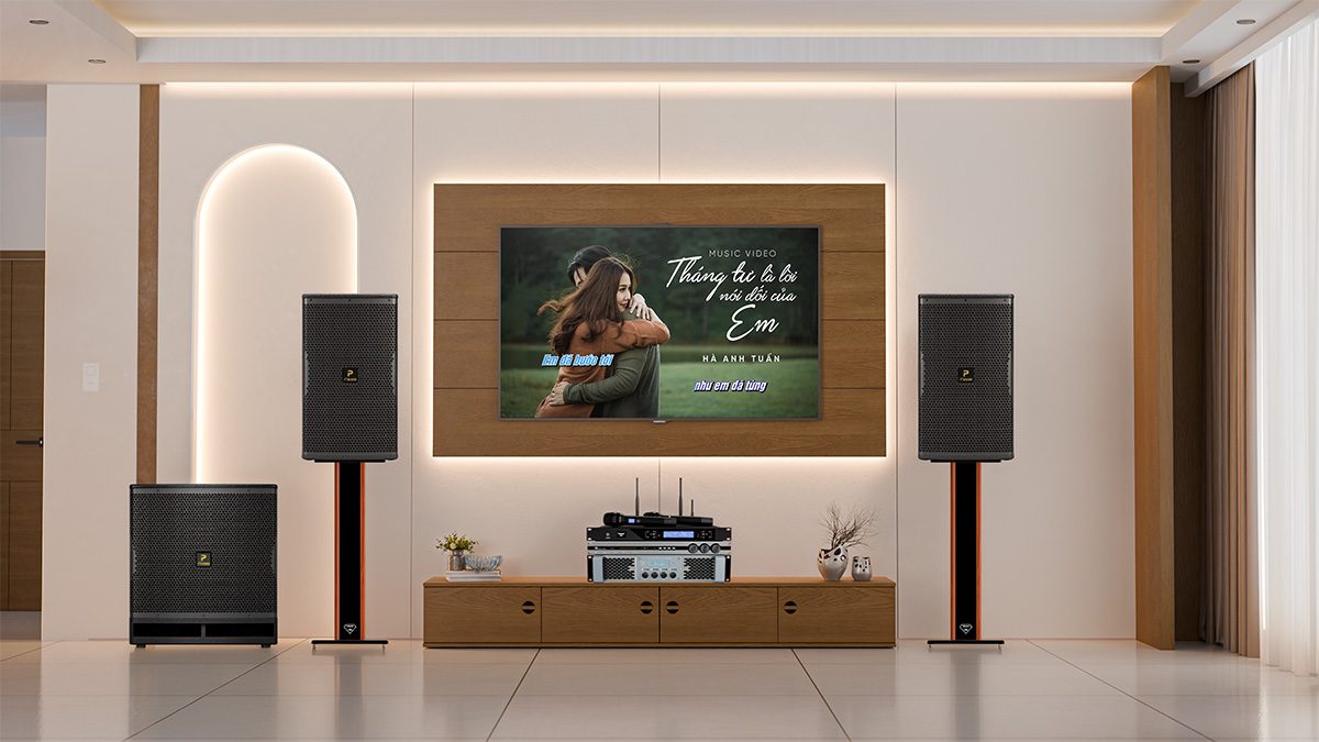 Dàn karaoke P'Sound TT287: (P'SOUND S-6030i, Vatasa T500, Vatasa V6 Pro, DT Lion406, P'SOUND SUB-6018) hình 3d
