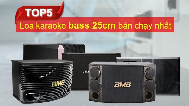Top 5 loa karaoke bass 25cm bán chạy nhất