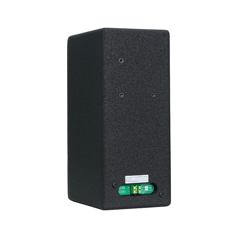Mặt sau Loa Nexo ePS6