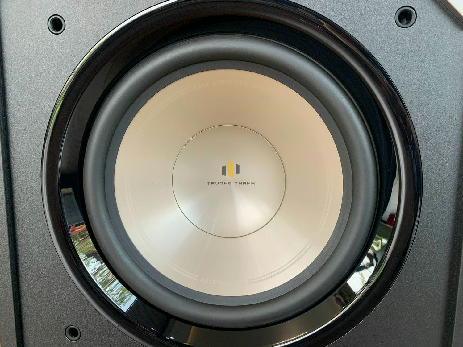 Ảnh sản phẩm Loa sub Polk audio HTS-10  (Sub điện bass 25cm) 24