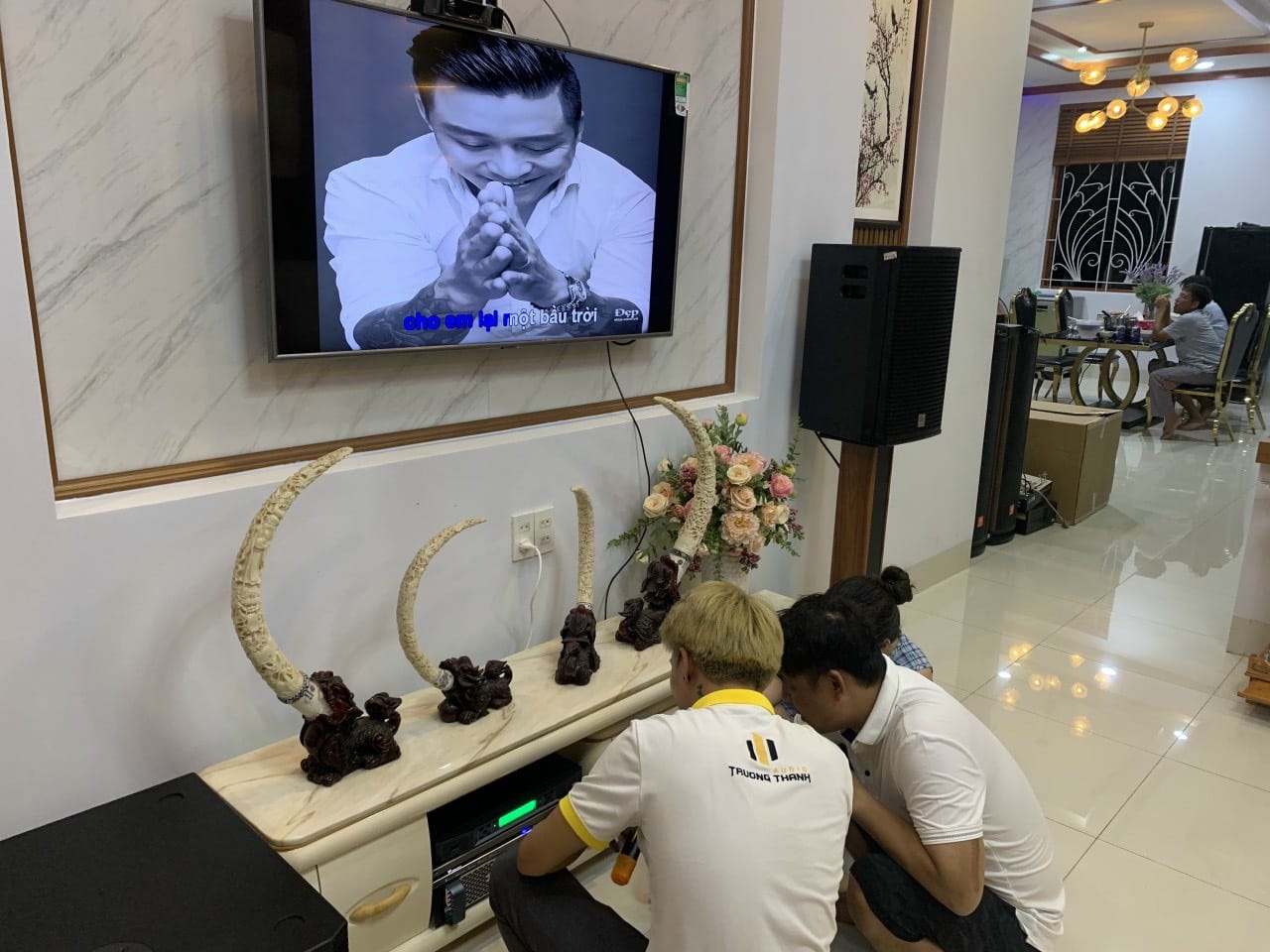 Ảnh sản phẩm Dàn karaoke DT TT148: (DT Alpha 12, Vatasa T800, Vatasa V6 Pro, DT Lion406, DT Delta115) 37