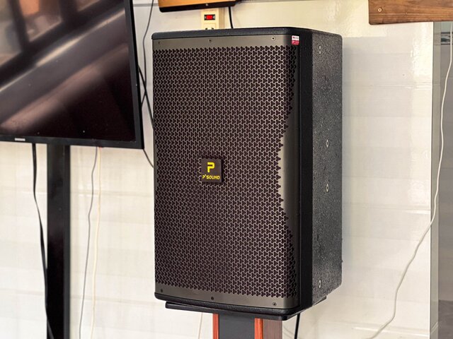 Khách hàng Ngô Văn Hảo đánh giá về sản phẩm Loa Karaoke P'SOUND S6030i (full bass 30cm, 2 đường tiếng)